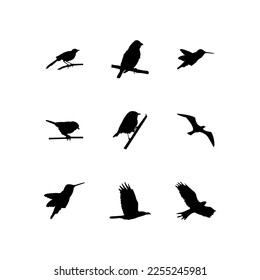 bird set silhouette vector design icon