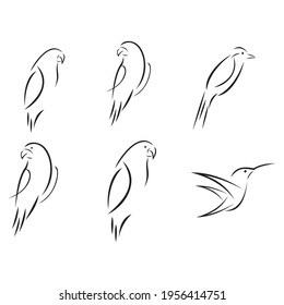 Juego de pájaros, ilustración vectorial. Arte de línea.