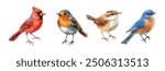 Bird Set Watercolor Illustration. Realistic close-up images of red cardinal, eastern bluebird, goldfinch, robin, and wren. Beautiful avian collection for garden and forest themes on a white background