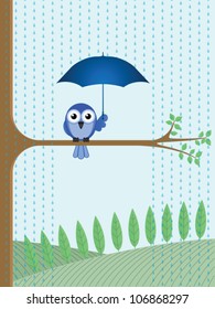 Bird sheltering from the rain sat on a tree branch