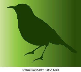 bird silhouette