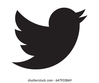 Bird silhouette