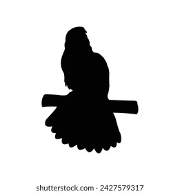 bird silhouette, black on a white background