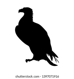 Bird Silhouette. Bllack on White. Vector Illustration. 