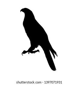 Bird Silhouette. Bllack on White. Vector Illustration. 