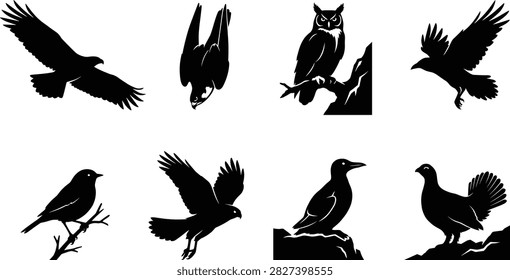 Bird silhouette bundle featuring eagle falcon owl raven songbird hawk cliff nesting bird and grouse