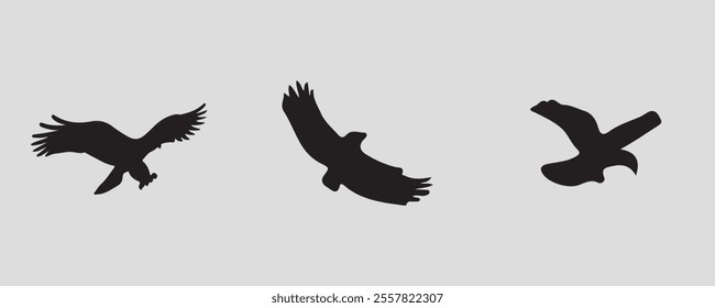 bird silhouette bundle vector illustration