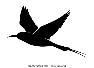 Bird silhouette captured midflight against transparent background with wings spread wide