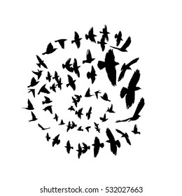 Bird Silhouette In A Circle. Vector