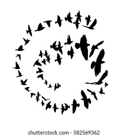 Bird Silhouette In A Circle. Vector