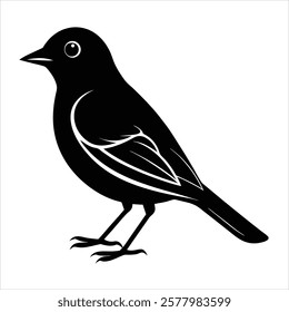 bird silhouette Clip art isolated vector illustration on a white background	
