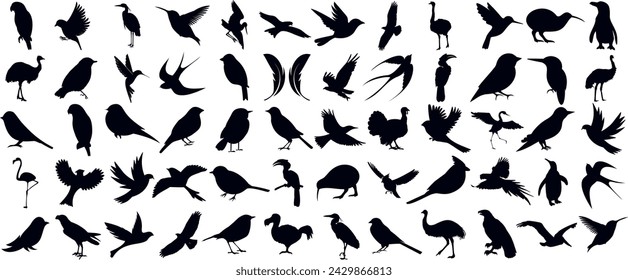 bird Silhouette, collection of diverse birds in flight and perching, ideal for design elements, logos, creative projects, showcasing nature’s beauty and avian diversity.