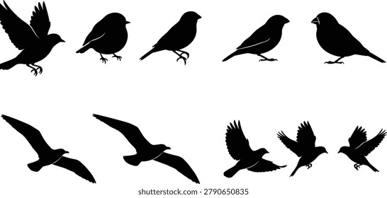 Bird Silhouette Collection with Flying and Perched Sparrow Crow and Seagull Shapes Isolated on White Background
