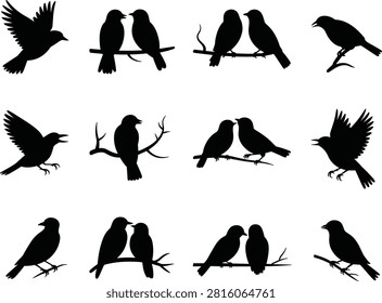 Bird Silhouette Collection – Flying, Perched, and Interactive Avian Poses in Vector Format for Nature Art and Ornithology Themes