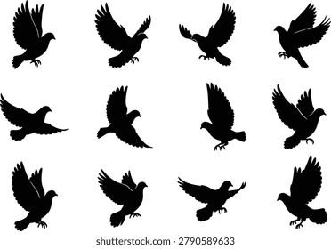 Bird silhouette collection with pigeons doves flying wing pose variations