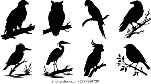Bird Silhouette Collection Set Featuring Eagle Owl Parrot Heron Cockatoo Kingfisher and Songbird Perched Poses