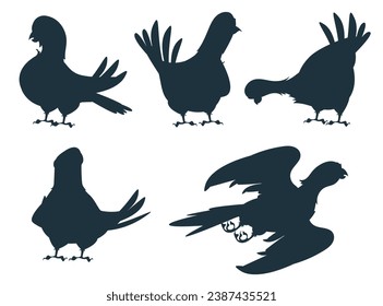 Bird silhouette decorative shadow isolated set. Vector flat graphic design illustration