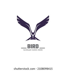 Bird silhouette design logo template