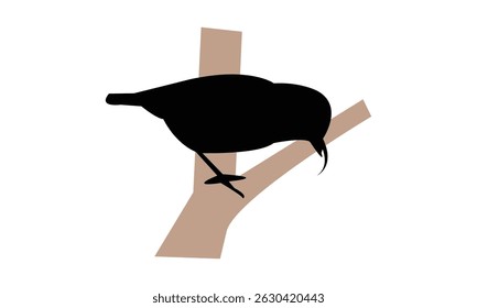 ʻAkiapolaʻau bird Silhouette Design  And Vector Illustration. 
