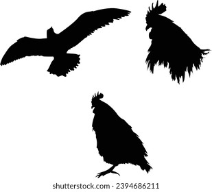 pájaro, silueta, águila, vector, vuelo, animal, ilustración, ala, naturaleza, negro, alas, halcón, mosca, pluma, silvestre, fauna silvestre, símbolo, aves, tatuaje, vuelo, halcón, cuervo, cuervo, diseño, arte