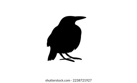 bird silhouette high quality vector