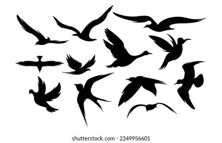 Bird silhouette icon symbol illustration vector set bundle asset template shadow, black, pultry, fly bird editable