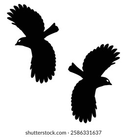 Bird Silhouette, Bird illustration, Birds icon Silhouette, Bird Silhouette illustration
