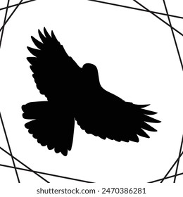 Bird silhouette illustration Design Birds silhouette icon