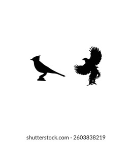 Bird   silhouette with illustration  vector 