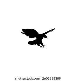 Bird   silhouette with illustration  vector 