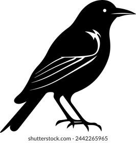 Bird Silhouette Illustration Vector Design