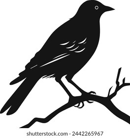 Bird Silhouette Illustration Vector Design