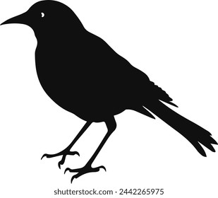 Bird Silhouette Illustration Vector Design
