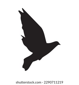 Bird silhouette. illustration. Vector Image