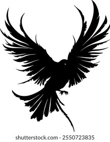 bird Silhouette image, bird vector image