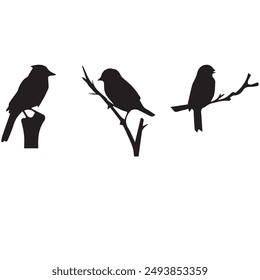 Bird Silhouette Images Vector set eps 10