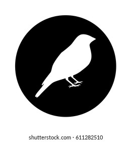 bird silhouette isolated icon vector illustration design