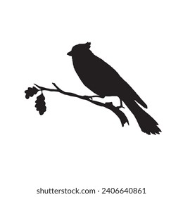 bird silhouette isolated on white. Decorative bird sitting on twig of tree.