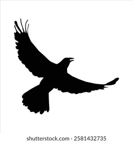 bird silhouette is isolated on a white background