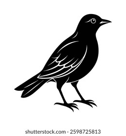 bird silhouette isolated on white background