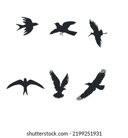 Bird Silhouette Logo Collection Flying In The Sky
