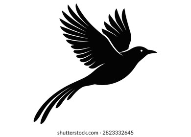 Bird silhouette in midflight with wings fully spread and tail feathers fanned out