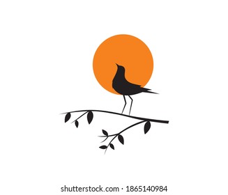 Bird silhouette on branch on sunset, vector. Bird silhouette on branch isolated on white background, illustration. Wall Decals, Wall Art Decoration. Wall artwork