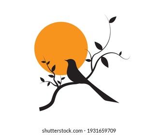 Bird silhouette on branch on sunset, vector. Bird silhouette on branch isolated on white background, illustration. Wall Decals, Wall Art Decoration. Wall artwork