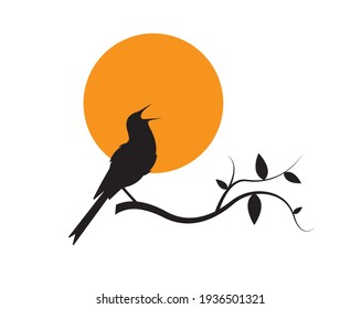 Bird silhouette on branch on sunset, vector. Bird silhouette on branch isolated on white background, illustration. Wall Decals, Wall Art Decoration. Wall artwork