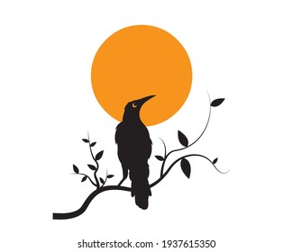 Bird silhouette on branch on sunset, vector. Crow Bird silhouette on branch isolated on white background, illustration. Wall Decals, Wall Art Decoration. Wall artwork