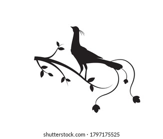 Silhouette de pájaro sobre vectores de rama, decoraciones de pared, decoración de arte mural, obras de arte, silueta de pájaro sobre una rama aislada de fondo blanco, 