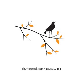 Bird Silhouette on Branch, Vector. Wall Decals, wall art decoration. Wall artwork, Bird Silhouette on branch isolated on white background
