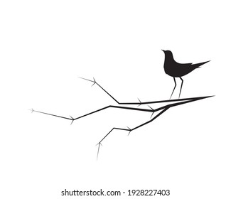 Bird silhouette on branch, vector. Bird illustration on tree isolated on white background. Wall Decals, Wall Art Decoration. Wall artwork. Minimalist poster design, black and white artwork 
