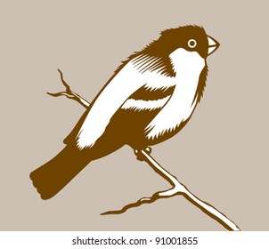 bird silhouette on brown background